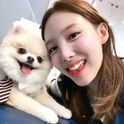 宰雪翎